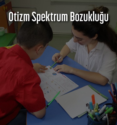 çamlıca mobil slide otizm